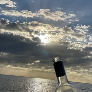 Meet your Posher, Henry